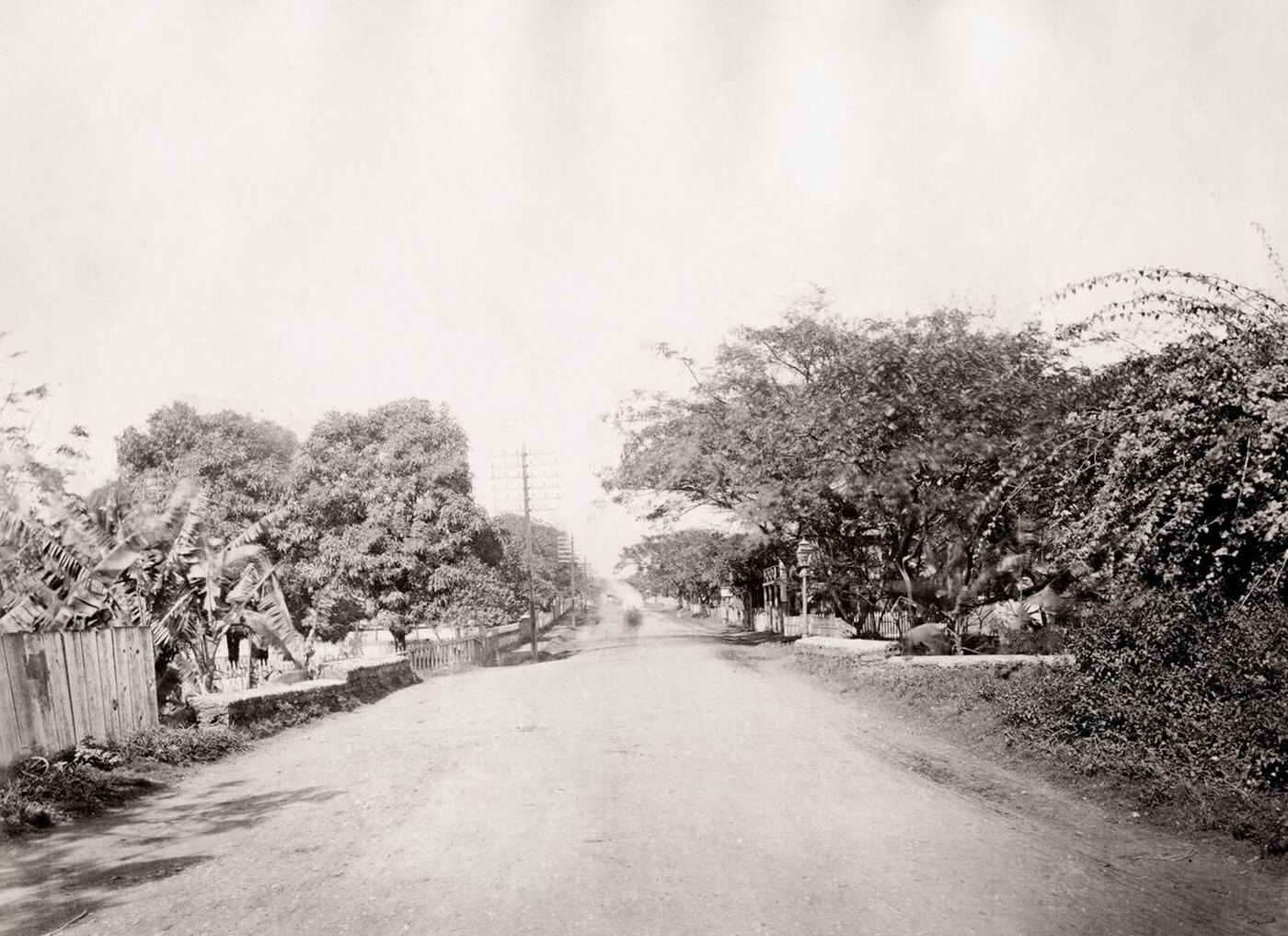 View along Nuuanu Avenue, Honolulu, Hawaii, 1890s.