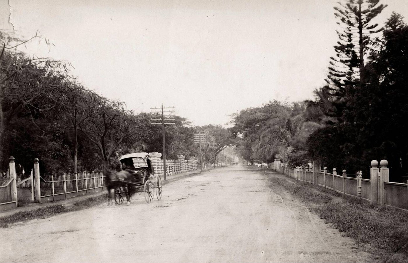 Pony and trap, Nuuan Avenue, Honolulu, Hawaii, 1890s.