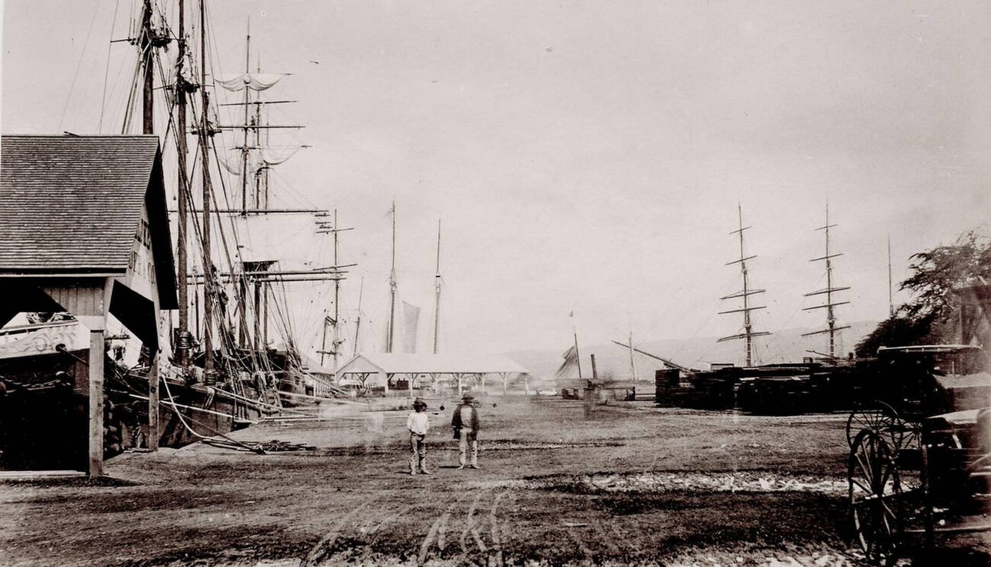 Waterfront, ships in the harbor, Honolulu Hawaii, 1890s.