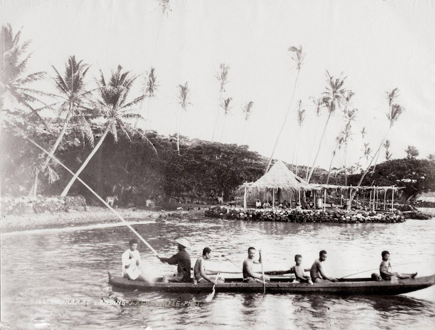Fishing canoe and crew, Hawaii, 1890s.