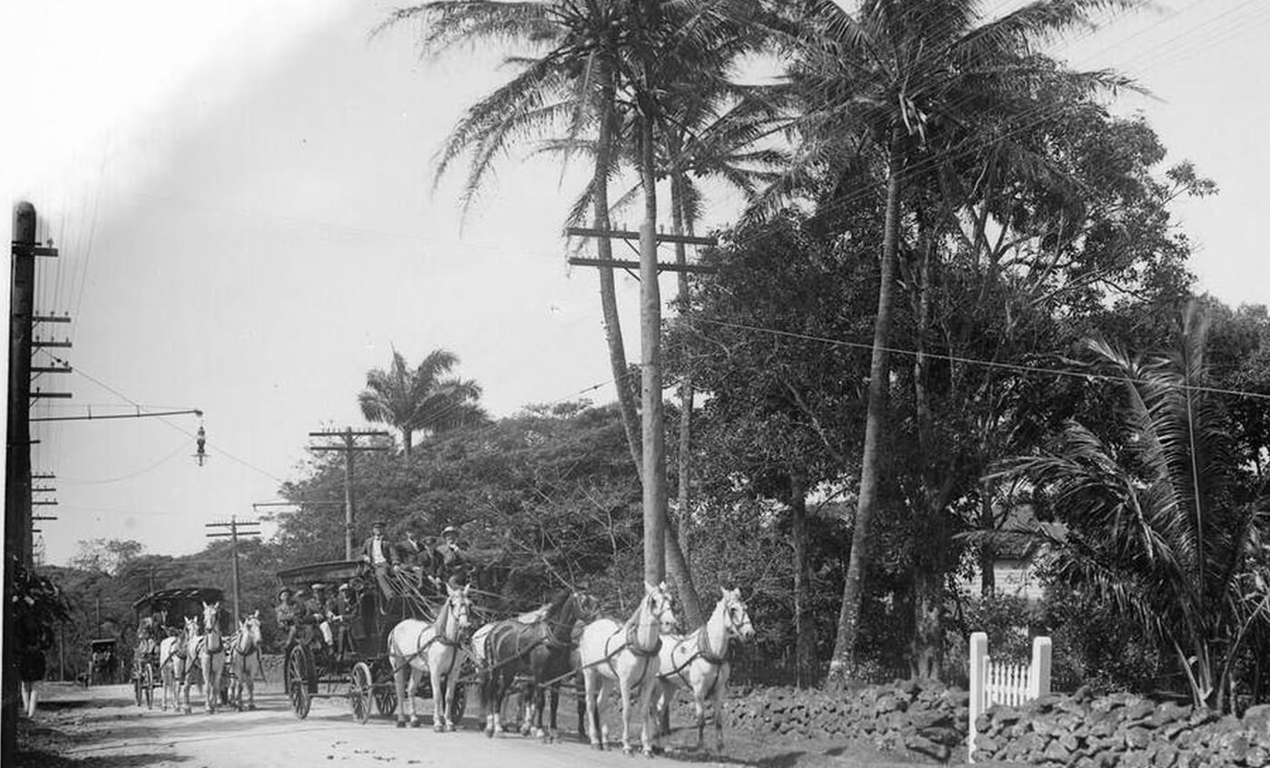 Coaches traveling on the road to the Pali, Hawaii, 1907.