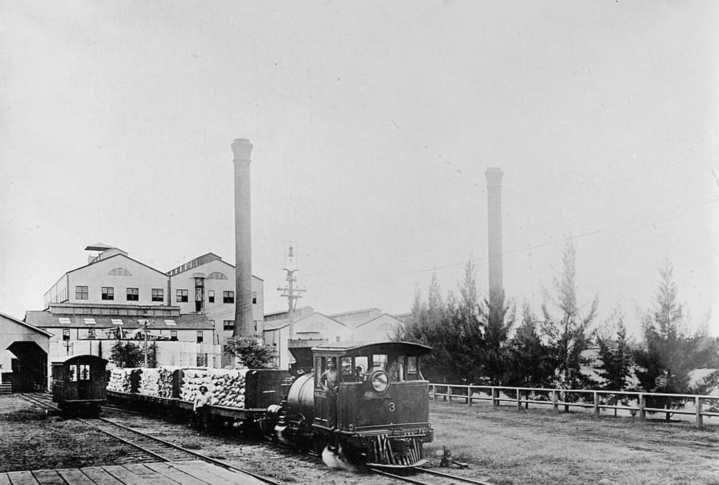Trainload of sugar leaving a mill in the Hawaiian Islands, 1900s.