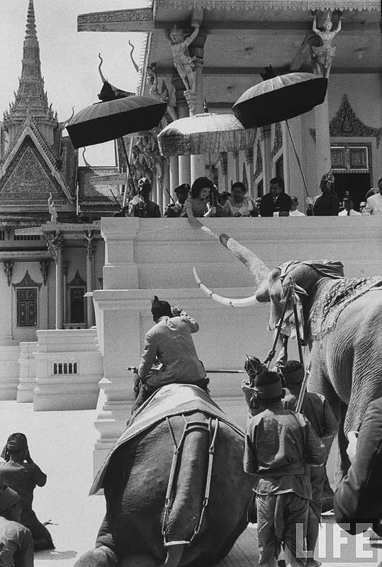Jackie Kennedy feeding an elephant outside the royal palace. 1967