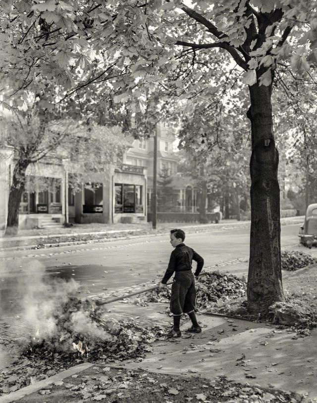 Burning fallen leaves, New York City suburbs, 1941.