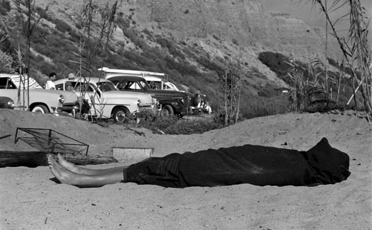 Stunning Vintage Photos of San Onofre Beach's Scenes During the 1950s