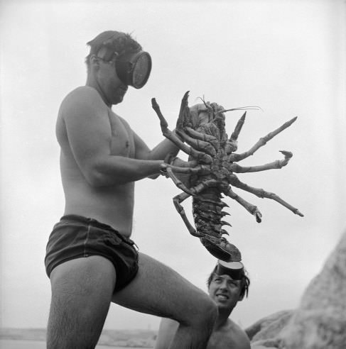 Stunning Vintage Photos of San Onofre Beach's Scenes During the 1950s
