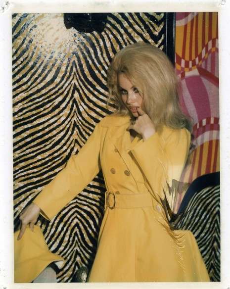Strippers’ Polaroid Calling Cards from the 1960s and 1970s