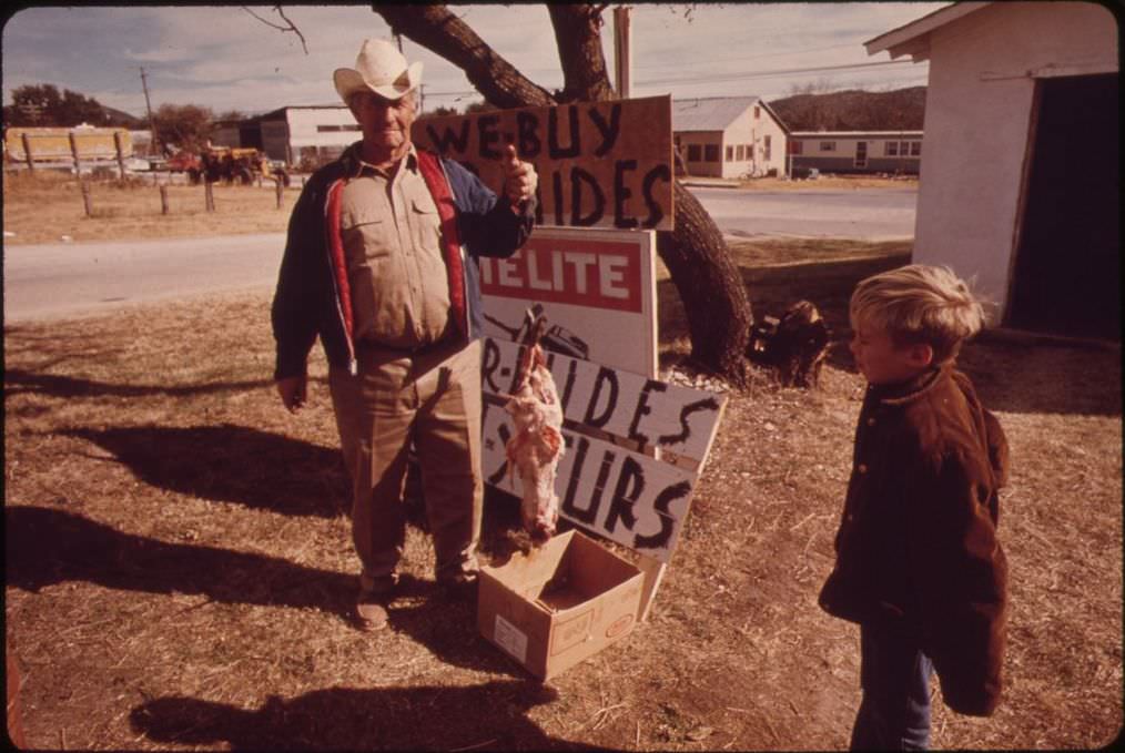 A skinned possum shown by a trapper in Leakey, Texas, near San Antonio, 1973.