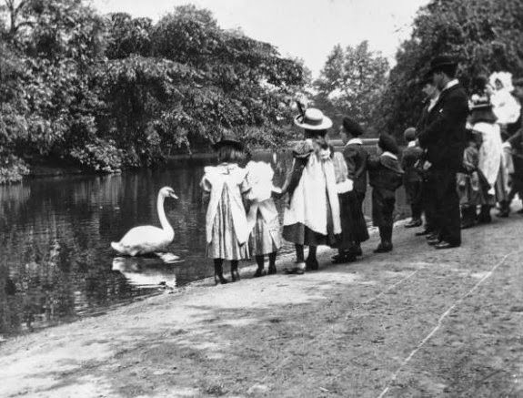 Children feeding swans in Victoria Park, Hackney, London, 1890.