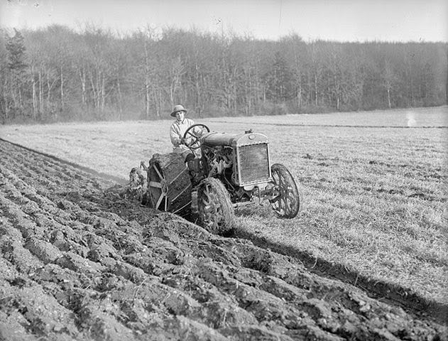 A woman "land girl" driving a tractor, 1918.