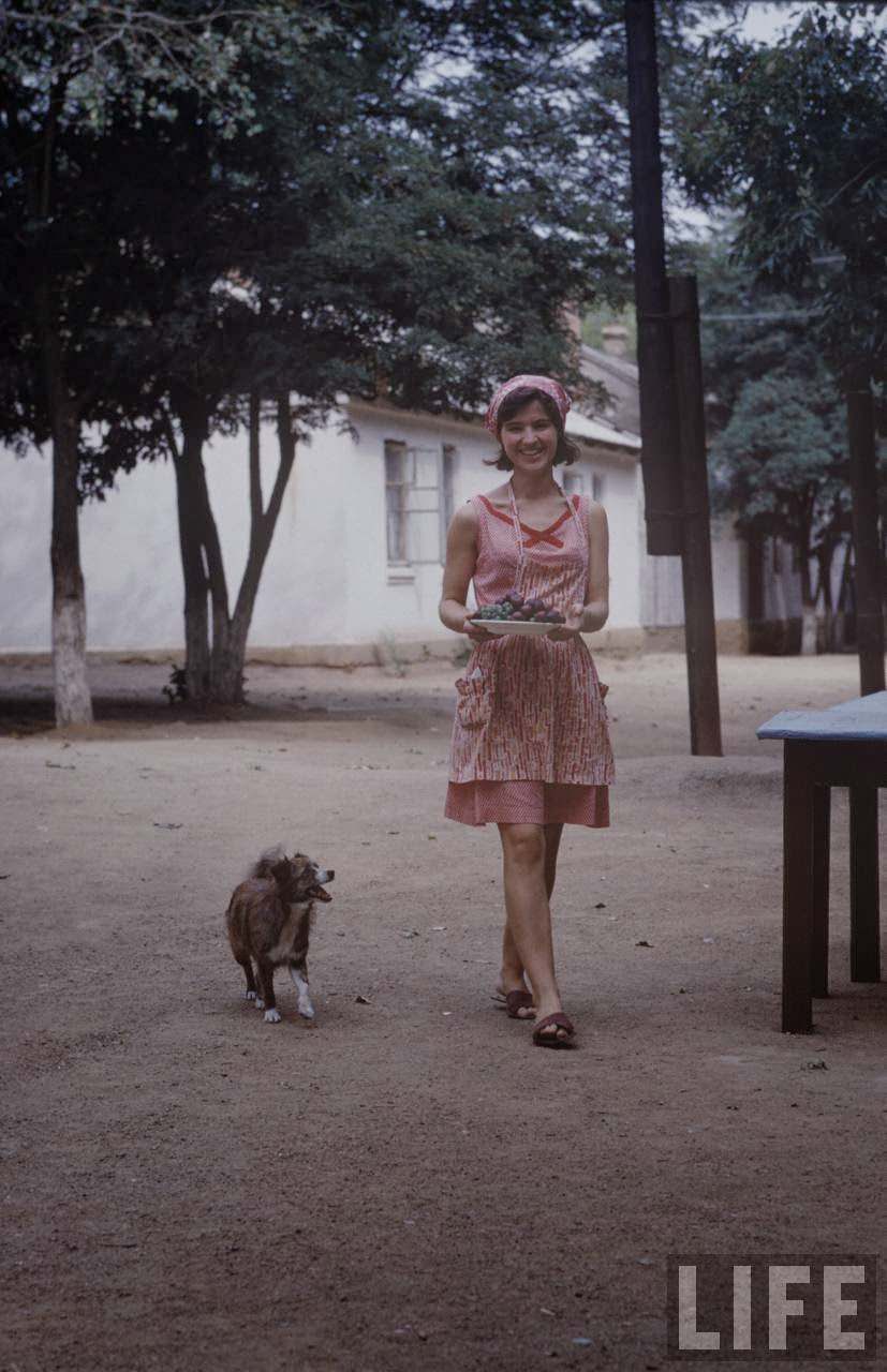 The Sputnik Generation: The Daily Lives, Social Scene, and Culture of Young Soviets in the 1960s