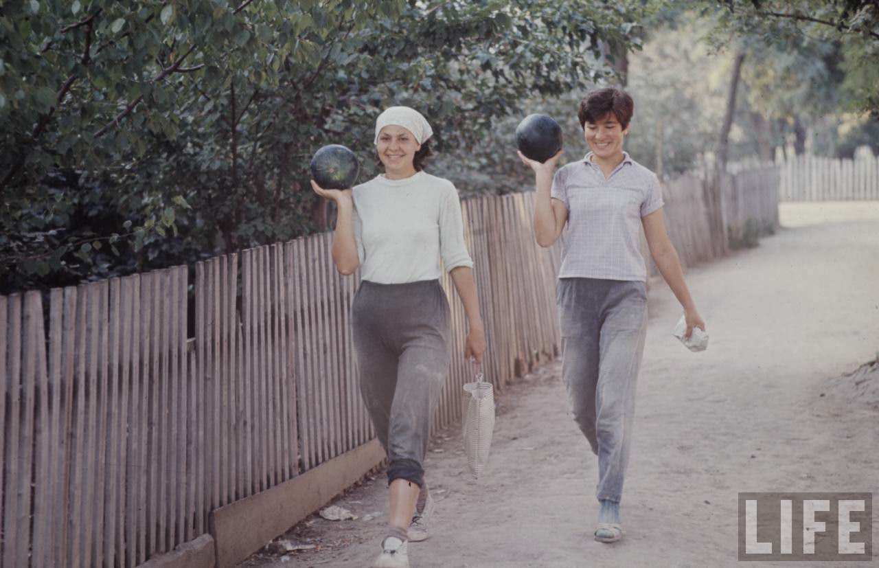 The Sputnik Generation: The Daily Lives, Social Scene, and Culture of Young Soviets in the 1960s