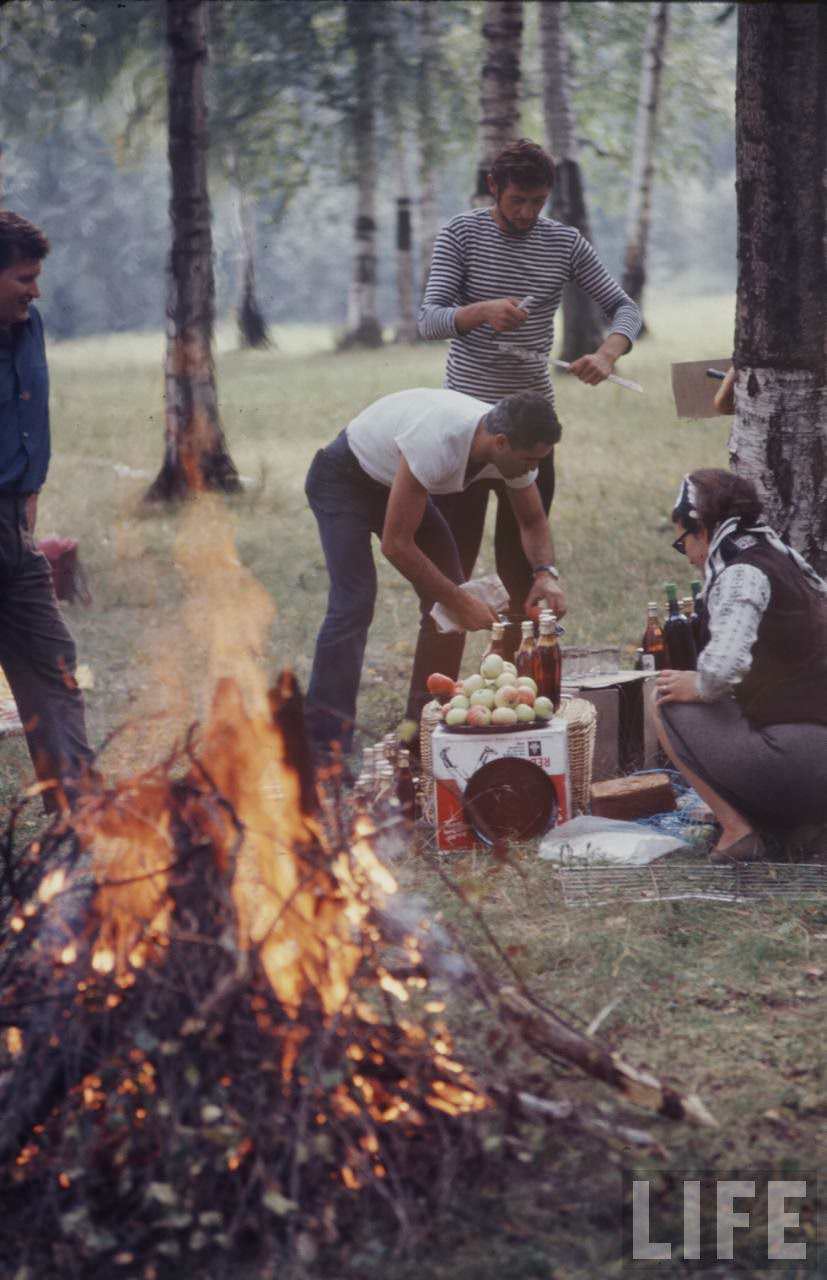 The Sputnik Generation: The Daily Lives, Social Scene, and Culture of Young Soviets in the 1960s