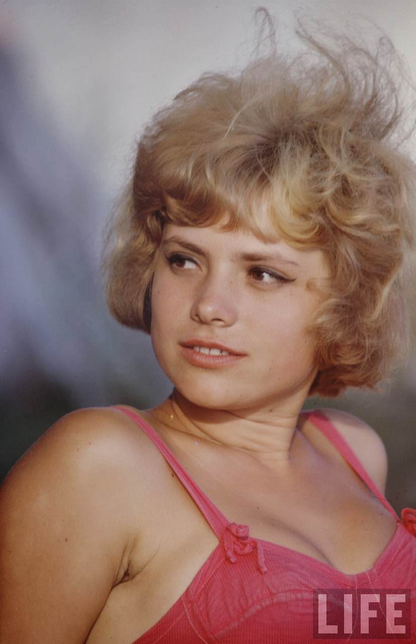 The Sputnik Generation: The Daily Lives, Social Scene, and Culture of Young Soviets in the 1960s