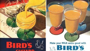 Bird Custard Ads