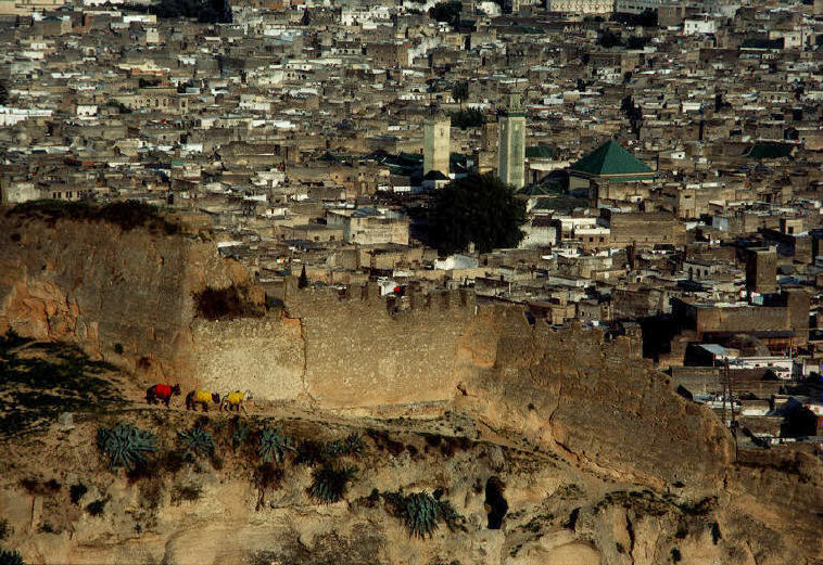 Bali district as seen from the Merinides hillside, 1984.