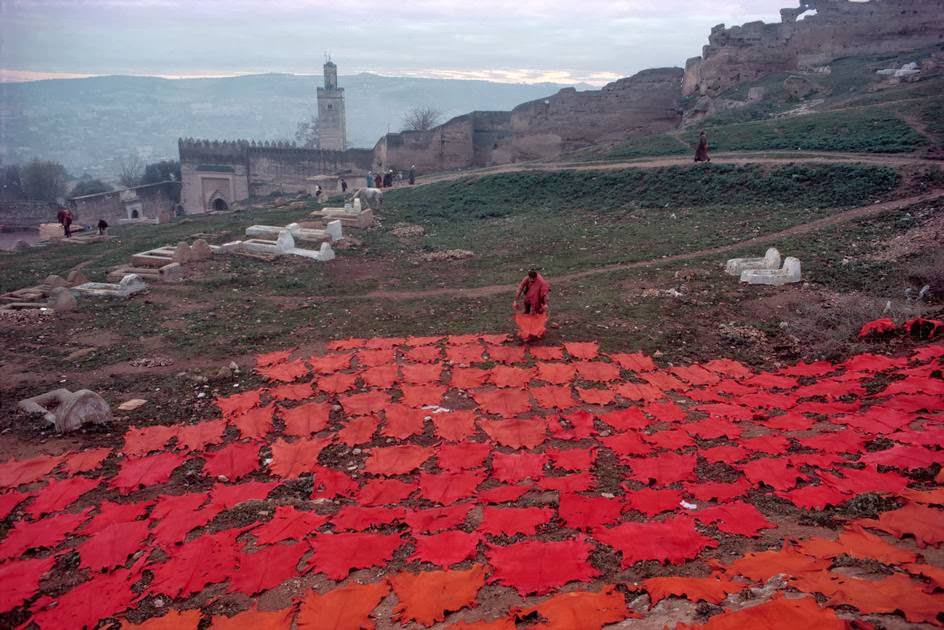 Tanned and tinted skins being dried near the cemetery, 1984.