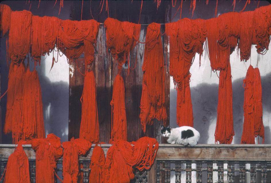 Wool dyeing, 1984.
