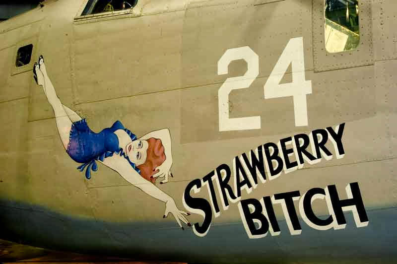 The Painted Fuselage: Aircraft Nose Art of World War II