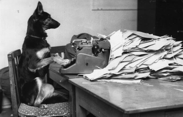 Petra, the Alsatian dog from the BBC's children's program, 'Blue Peter,' answering her fan mail, 1964.