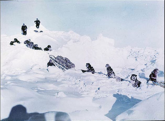 Dog teams scouting a way to the land, 1915.