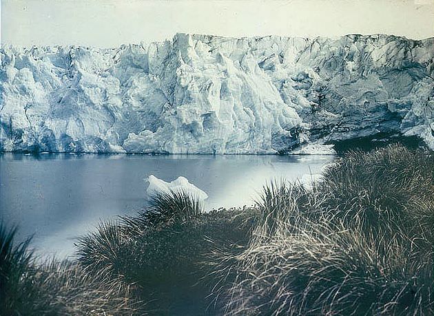 Glacier, New Fortuna Bay, 1915.