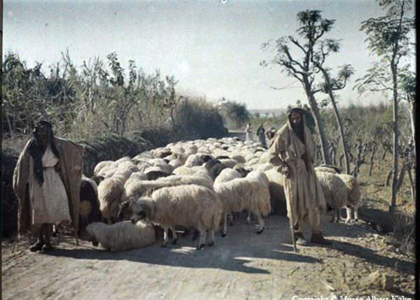 Lebanon, 1900s