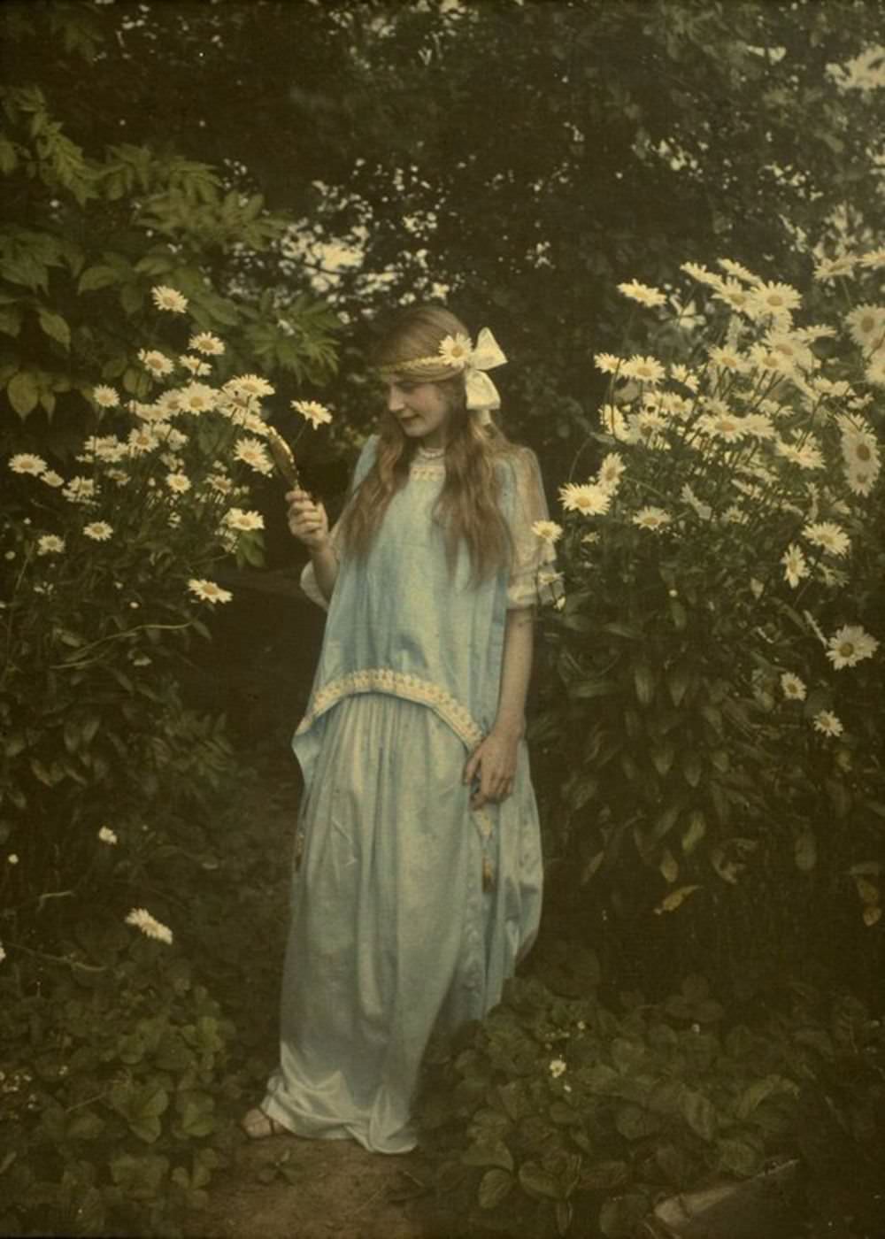 Young girl amidst marguerites, c.1912