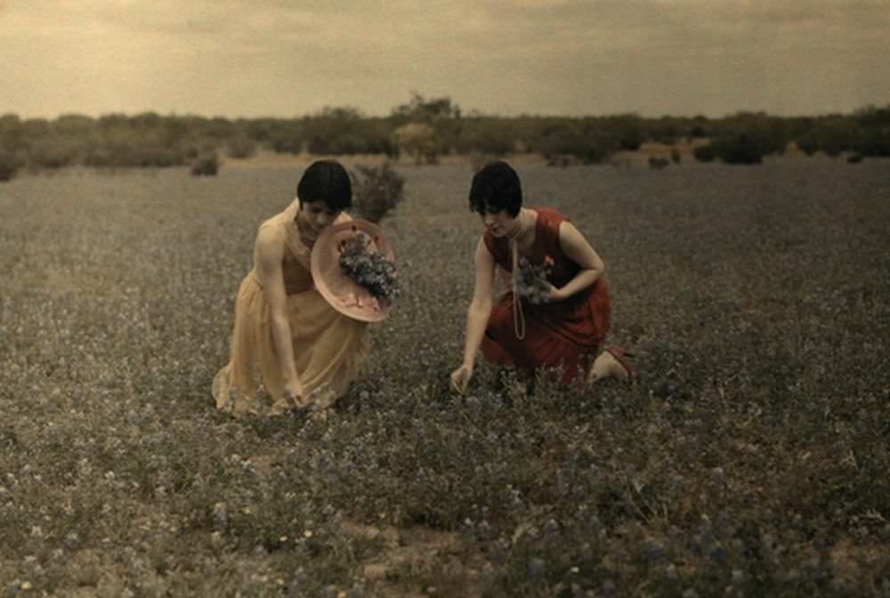 Two women pick the state flower in a Laredo field