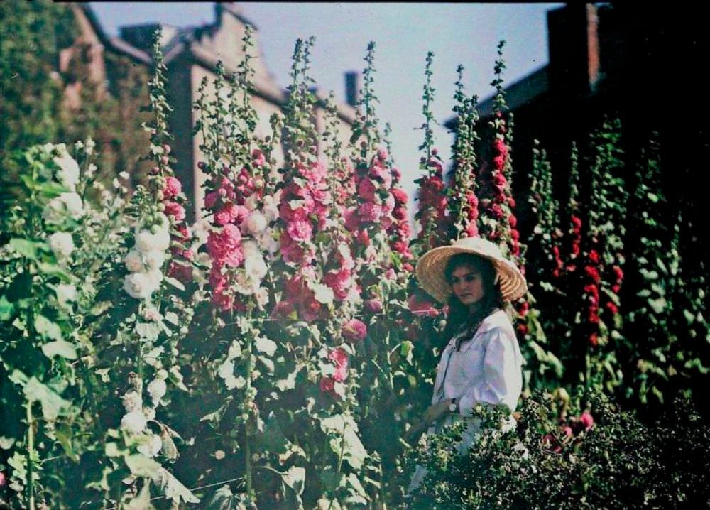 Girl in a garden with hollyhocks, 1908