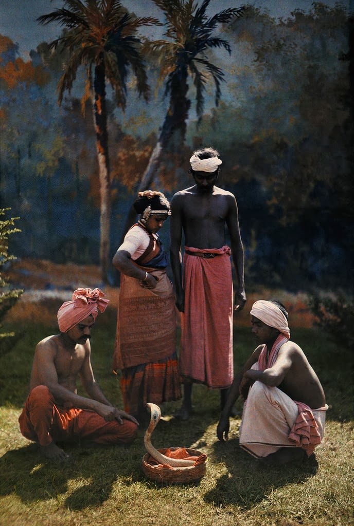 Snake charmers in India
