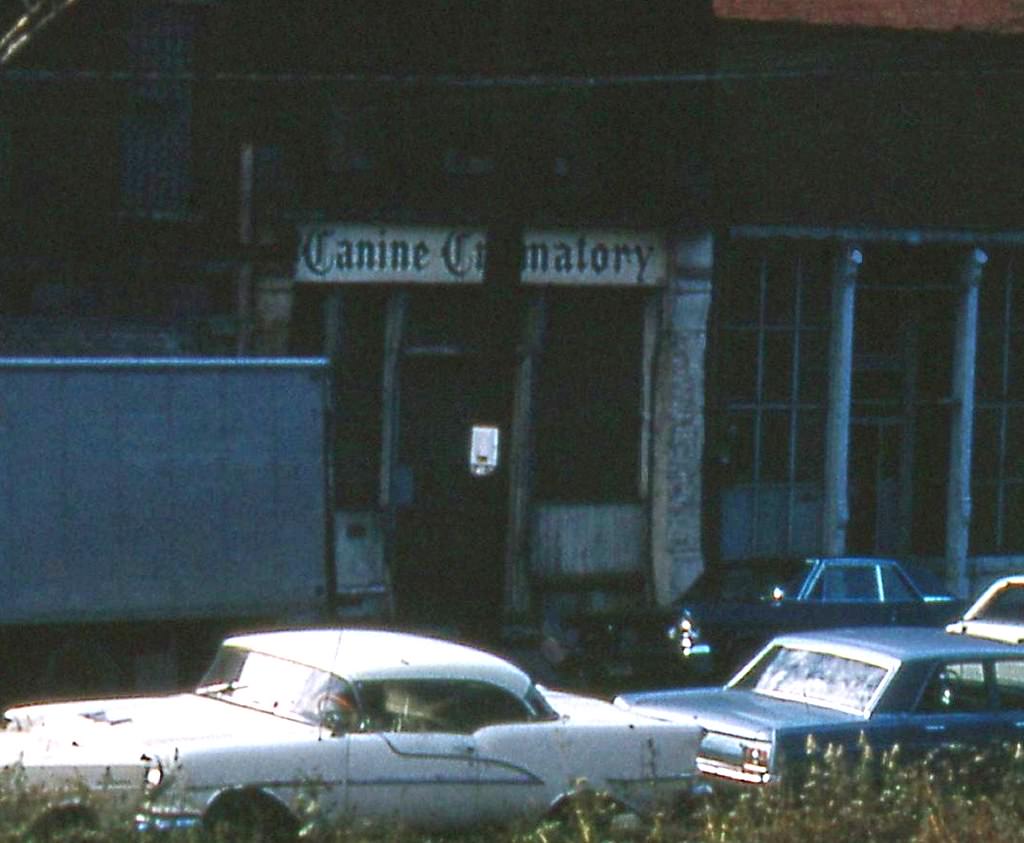 Canine crematory.