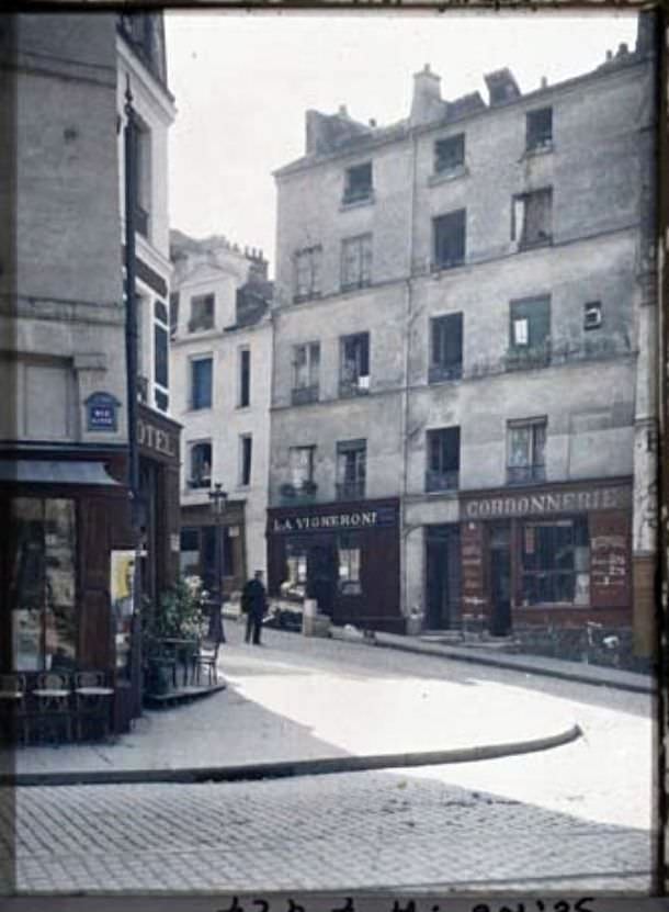 Place Jussieu, corner of Linnaeus and Bakers by Stéphane Passet