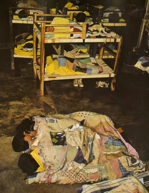 Yaks, Butter Tea, and Prayer Flags: A Look at Daily Life in the Himalayas of the 1970s