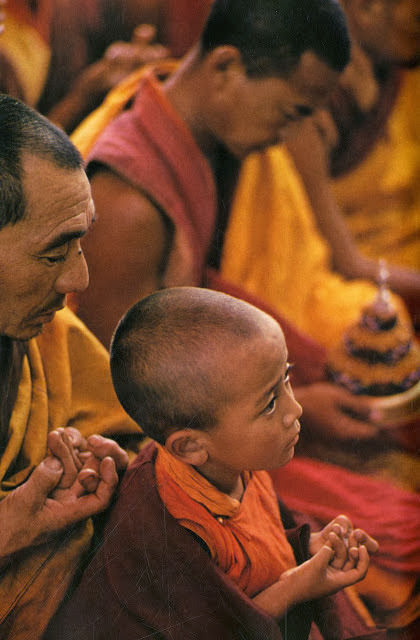 Yaks, Butter Tea, and Prayer Flags: A Look at Daily Life in the Himalayas of the 1970s