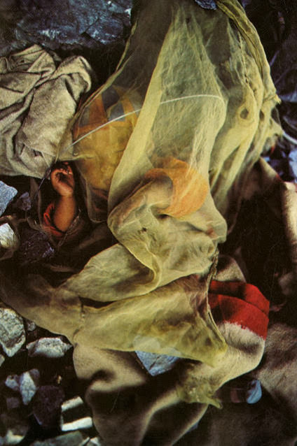 Yaks, Butter Tea, and Prayer Flags: A Look at Daily Life in the Himalayas of the 1970s