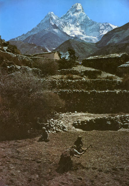 Yaks, Butter Tea, and Prayer Flags: A Look at Daily Life in the Himalayas of the 1970s