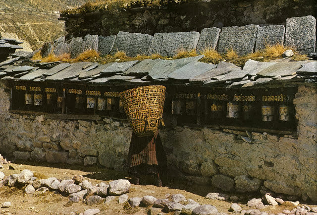 Yaks, Butter Tea, and Prayer Flags: A Look at Daily Life in the Himalayas of the 1970s