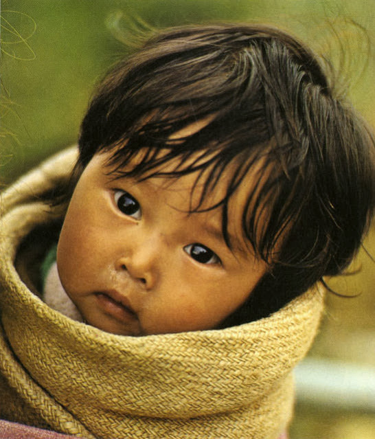 Yaks, Butter Tea, and Prayer Flags: A Look at Daily Life in the Himalayas of the 1970s