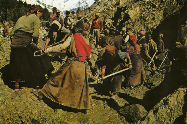 Yaks, Butter Tea, and Prayer Flags: A Look at Daily Life in the Himalayas of the 1970s