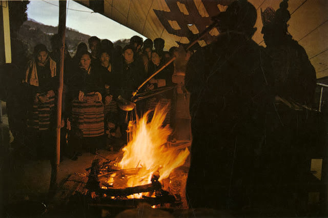 Yaks, Butter Tea, and Prayer Flags: A Look at Daily Life in the Himalayas of the 1970s