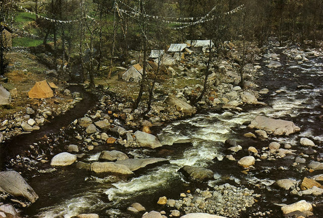 Yaks, Butter Tea, and Prayer Flags: A Look at Daily Life in the Himalayas of the 1970s