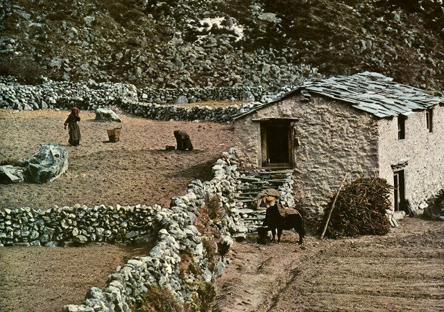 Yaks, Butter Tea, and Prayer Flags: A Look at Daily Life in the Himalayas of the 1970s