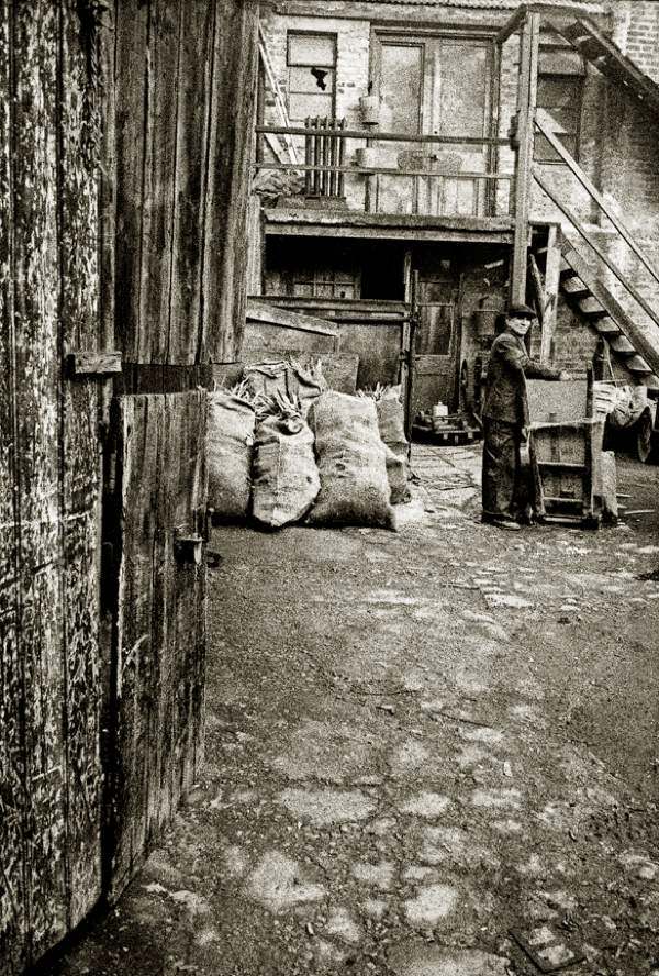Collecting firewood, 1960