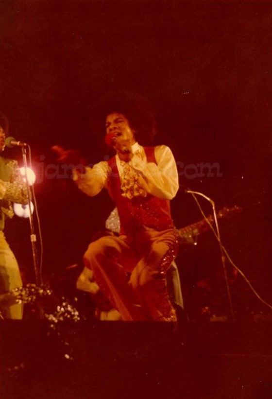 The Day the King of Pop Met the King of Reggae: The Story of the Concert That United Michael Jackson and Bob Marley