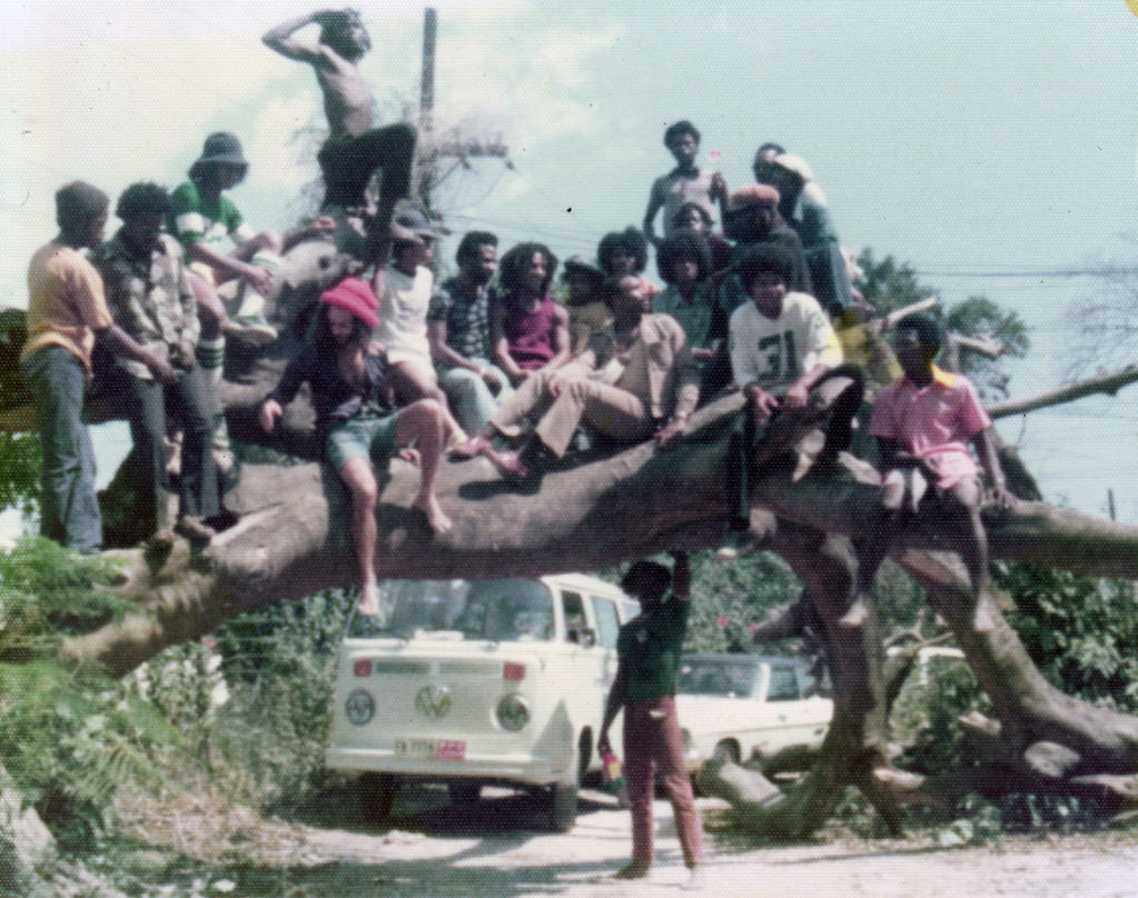 The Jackson 5 and The Wailers hang out on a fallen mango tree at 56 Hope Road with promoter Chester McCullough and some close friends.