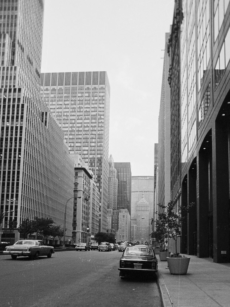 Park Avenue, 1979.