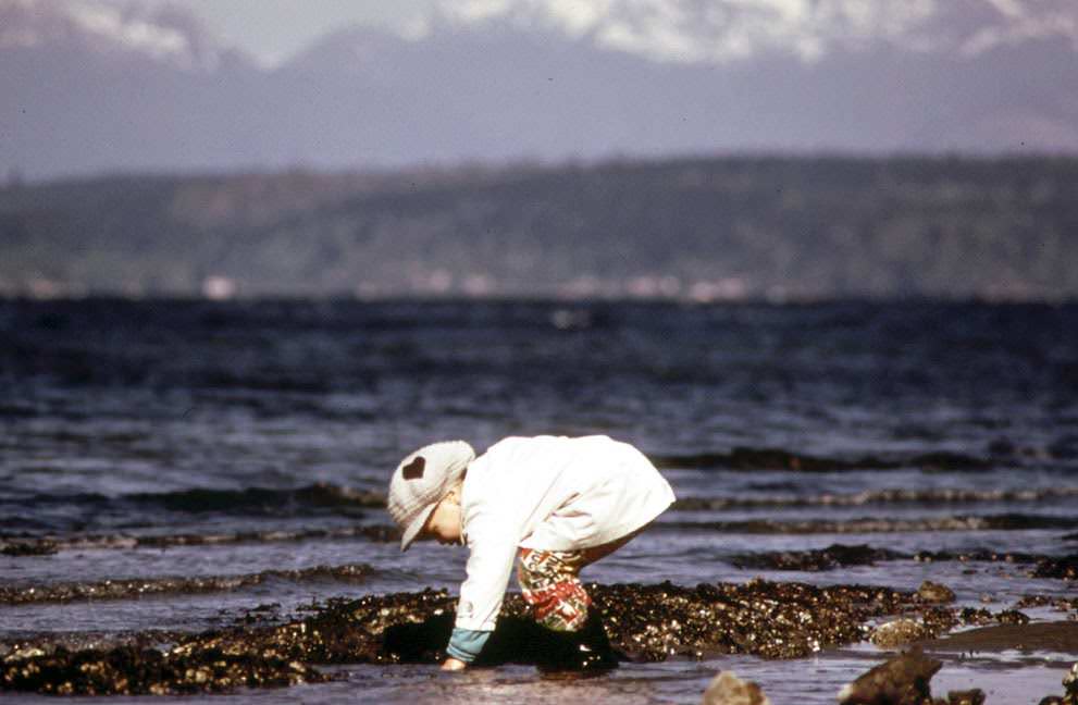 Alki Beach on Puget Sound, a favorite resort for residents of Seattle, 1973.