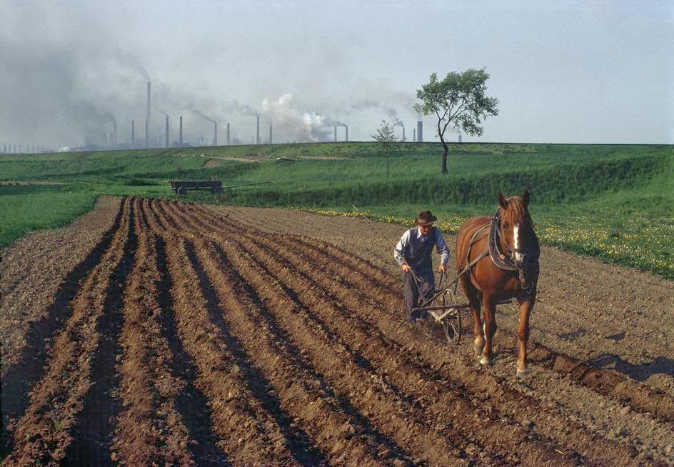 Stunning Vintage Photos Show Life in Poland in the Early 1980s
