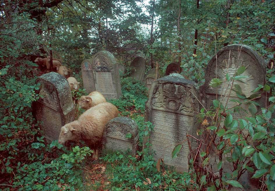 Stunning Vintage Photos Show Life in Poland in the Early 1980s